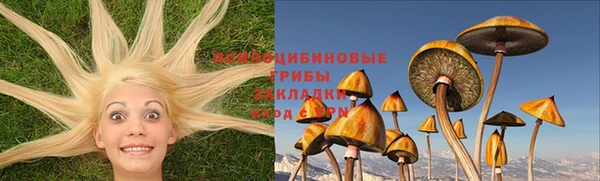 бошки Абаза