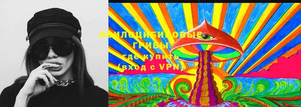бошки Абаза