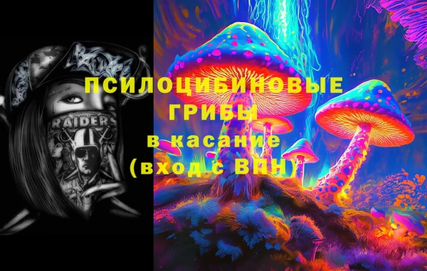 соль ск Пересвет