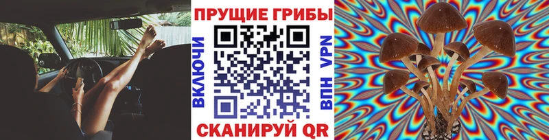 Галлюциногенные грибы мицелий Тюмень